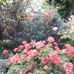 Marian Giles - Facebook