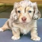 Marian Hammond - @marian.hammond.714 - Instagram