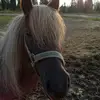 Heppailua - @marianin.heppailua - TikTok