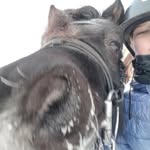 Maria Värri - @marian_heppailut3 - Instagram
