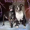 Marian - @marianviveydejavivir - TikTok