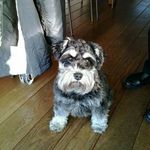 Marian Jansen - @marianjansenjurriens - Instagram