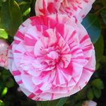 marian jansen - @jansenmieske25 - Instagram