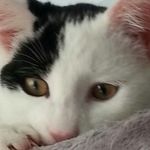 Marian Jansen - @jansenmarian555 - Instagram