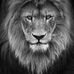 Marian Karas - Facebook