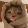 Marian Lamonte - @marian.lamonte - TikTok