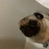marianelampert - @mll180307 - TikTok