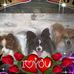 Marianne Langley - Facebook