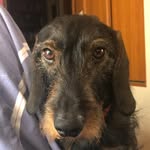 Marian_Sausage_Long - @marian_sausage_long - Instagram