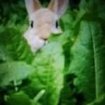 Marian Lynch - @marianlynch283 - Instagram