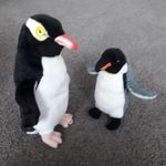 Marian O'Brien - @marianbirds - Instagram