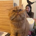 Kyoung Min Park - @marian_park - Instagram