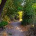 Marian R. Bear Memorial Park - Facebook
