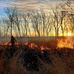 Marian R. Byrnes Park - Facebook