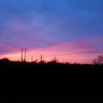 Marian Power - @horsepasture - Instagram