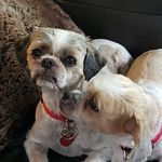 Marian Power - @marian.power.549 - Instagram