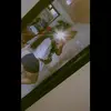 Marian Ramirez790 - @marianramirez088 - TikTok