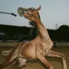 Marian - @marian.red - TikTok