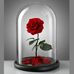 Marian Leila Roach - Facebook