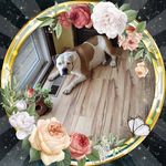 Marian Roach - @marytincan - Instagram