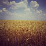 Marian Rollins - @stormlement - Instagram