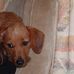 Marianne Rollins - Facebook