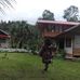 Mariana Rowe - Facebook