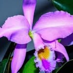 marian - @marianrule1965 - Instagram