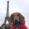 marianarupp728 - @marianaruppflesch2 - TikTok