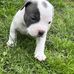 Marianne Rupp - Facebook