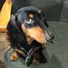 Marianne Saylor - @marianne.saylor - TikTok