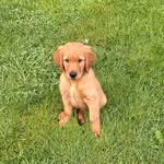 Marian Sullivan - @marian.sullivan.54 - Instagram