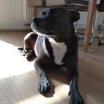 Marian Toth - @m.1.3.0.9.t - Instagram