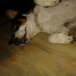 Marian Toth - @marian.toth.9849 - Instagram