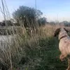 marianvincentileo - @marianvincentileo - TikTok