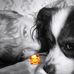 Marion Wilde - Facebook