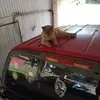 mariannwolfe - @mariannwolfe - TikTok