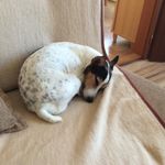 Mariana Steiner - @marianasteiner22 - Instagram