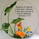 Marianela Angulo Acevedo - @marianelaanguloacevedo - Instagram