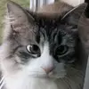 mariannabrown89 - @mariannabrown89 - TikTok
