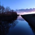 Marianne Abrams - @marianneabrams56 - Instagram