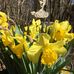 Marianne Abramsson - Facebook