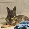 Marianne Bennett - @marianne.bennett - TikTok