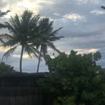Marianne Bieri-Oppliger - @mariannebierioppliger - Instagram