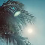 Marianne Chamulka Blake - @bayba_79 - Instagram
