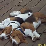 Marianne Case - @mariannecase1965 - Instagram