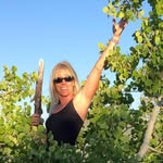 Marianne Casey - @mariannecasey - Instagram