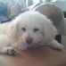 Maryanne Cooley - Facebook