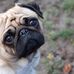 Marianne Gingras - Facebook
