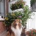Marianne Haremza - Facebook